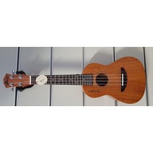MSP AU07L-23