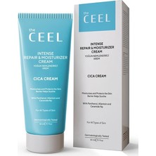 MSP Ceel Cica Krem 50 ml - Madecassoside, Centella Asiatica, Hyaluronik Asit ve Panthenol Içeren Yoğun Nemlendirici & Bariyer Destekleyici Bakım Kremi, Tüm Cilt Tipleri