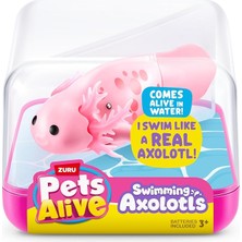 MSP Pets Alive Yüzme Axolotl Serisi -1 Rastgele Renk