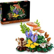 MSP Botanicals Orman Mantarları 11505
