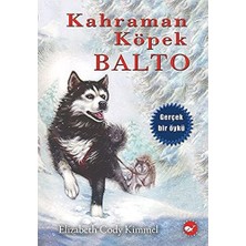 MSP Köpek Balto - Ciltsiz