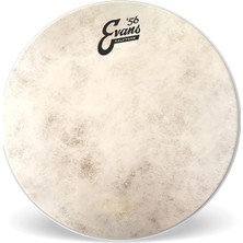 MSP Calftone Tom 13 Inch - TT13C7 Tom Derisi
