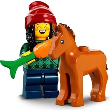 MSP Minifigure Serisi 22 At ve Damat 71032