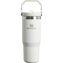 MSP Iceflow Flip Straw Tumbler Pipetli Termos Su Şişesi 0.89 Litre - Frost | Paslanmaz Çelik
