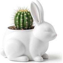 MSP Tavşan Figürlü Dekoratif Saksı ve Vazo - Modern Sukulent ve Kaktüs Çiçekliği, Estetik Masaüstü Objesi, Paskalya Temalı Ev Dekoru,tavşan Küçük Vazo Rabbit Flower Pot – Unique Vase & Decor