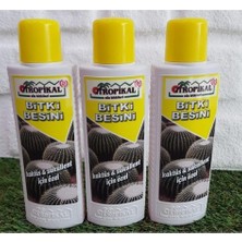 MSP Sukulent Besini 3 Adet 225 ml