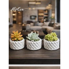 MSP Mini Saksı Seti 5 cm – El Yapımı Dekoratif Beton Saksı | Küçük Sukulent Saksısı, Masa & Raf Dekoru, Modern Minimal Tasarım (Bitki Dahil Değildir)