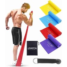 MSP 4'lü Pilates Bandı Seti +Kapı Aparatı Çok Renkli Tek Ebat, 4pltsst