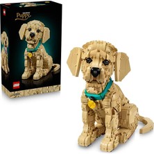 MSP Icons Yavru Golden Retriever 11384