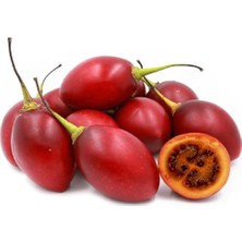 MSP Meyvesi Tohumu 20 Adet (Tamarillo Ağaç Domatesi)