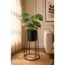 MSP Siyah Metal Ayaklı Saksı, Silindirik, Modern Tasarım, 60X40 cm No:14