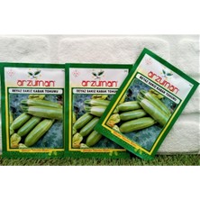 MSP Sakız Kabak Tohumu 3 Paket 30 gr (60 Adet) Kabak Tohumu Sebze Tohumu Sebze Tohumları