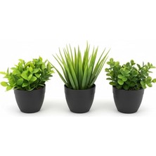 MSP Mini Yapay Çiçek Sukulent Seti, Saksılı Yapay Sukulent Bitki, Dekoratif Masaüstü Mini Bitkiler, Ev ve Ofis Dekoru, 8 cm (Siyah)