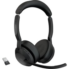 MSP Evolve2 55 - LINK380A Ms Stereo, W128338050 (Stereo)