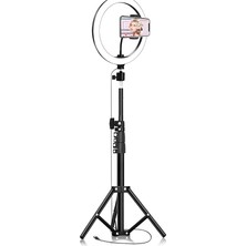MSP Light 26CM Halka Işık + Tripod Ayak – Bluetooth Uzaktan Kumandalı – 3 Işık Modu & 10 Parlaklık Seviyesi – USB Bağlantılı Telefon Tutuculu Fotoğraf ve Video Çekim Işığı (Ring)