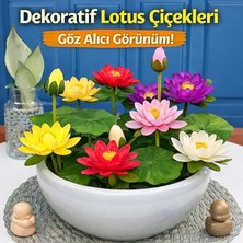 MSP Çiçeği Tohumu 5 Adet – Nilüfer Çiçeği Tohumu Nadir Kutsal Lotus