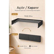 MSP Duvara Monte Çamaşır Kurutma Askısı, Metal, Antrasit - 100 Cm, Katlanır, Balkon ve Banyo Için Uygun