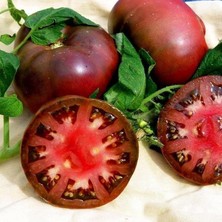 MSP From Tula Siyah Kırmızı Domates Tohumu (15 Tohum)
