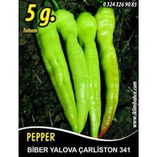MSP Tohumu Yalova Çarliston 341-5 G (~ Takribi 400 Tohum)