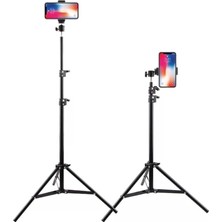 MSP 2.1 mt 360 Döner Başlıklı Telefon Tutucu Ring Light Metal Işık Stüdyo Lamba Ayağı