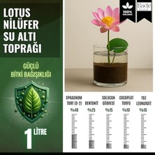 MSP Çiçeği (Nilüfer) Için Su Altı Torf Karışımı Toprağı (1 Lt Toprak) - 1 Adet Lotus Tohumu Hediyeli