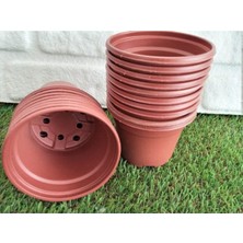 MSP Saksı 30 Adet 10 5x8 cm Üretim Saksısı Vakum Ucuz Bordo