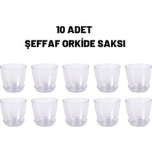 MSP Saksısı Kristal Orkide Saksı 10 Adet 1,5 Litre Orkide Saksı Şeffaf Orkide Saksısı