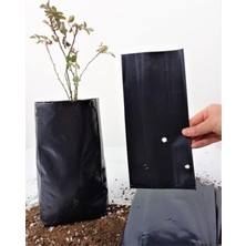 MSP Poşeti 13X27 cm 1 kg Fidan Torbası Fide Poşeti