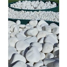 MSP Taş 20 kg 6-10 cm Beyaz Dolomit Bahçe Taşı Çakıl Taşı Saksı Taşı Akvaryum Teraryum Taşı