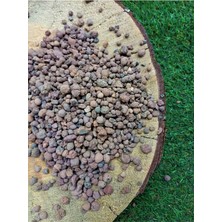 MSP Kil Bilyesi 10 Lt 3-8 mm Açık Kil Bilyesi Orkide Yetiştirme Ortamı Hidroponik Hidrokültür Toprağı