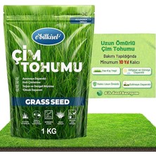 MSP Yıllık Çim Tohumu 1 kg Uzun Ömürlü 6'lı Karışım Gölge ve Aşırı Güneşli Alan Uygun Yetiştirilmesi Kolay 4 Mevsim Yeşil