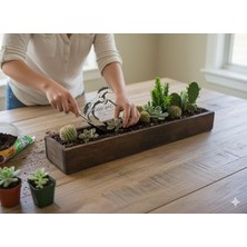 MSP Dekoratif Saksı, 50 cm Küçük Saksı, Ince Uzun, Kaktüs Sukulent ve Diğer Çiçekler Için