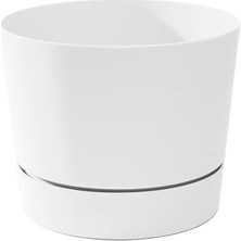 MSP & Vessel Majestic Orta Yüzyıl Modern Düşük Profilli Silindir Tencere, Mat Beyaz, 21,5 cm