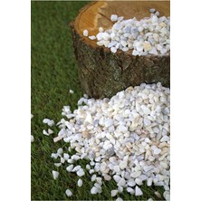 MSP Taş 10 kg 0,5-1 cm Karışık Renkli Çakıl Taşı Saksı Taşı Dere Taşı Akvaryum Teraryum Taşı