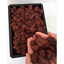 MSP Taşı 20 kg 2 4 cm Iri Pomza Lav Gazlı Tüplü Pomzası