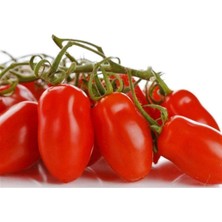 MSP Dünyam 20 Adet Patio San Marzano Domates Tohumu