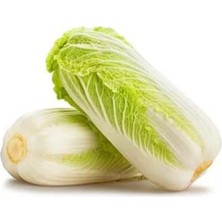 MSP Adet Çin Lahanası Tohumu