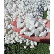 MSP Taş 10 kg 1-2 cm Beyaz Dolomit Bahçe Taşı Çakıl Taşı Saksı Taşı Akvaryum Teraryum Taşı