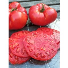 MSP Garden Doğal Iri Meşhur Nergele Domatesi Tohumu 100 Ad. Tohum