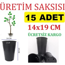 MSP Saksısı 25 Adet 14X19 cm 2 Lt Plastik Saksı Siyah Üretim Saksı Bitki Saksı