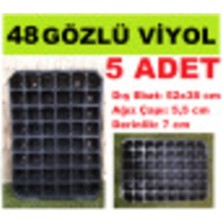 MSP Gözlü Fide Viyolü 5 Adet Fidan Viyolleri Tohum Çimlendirme Kabı Yetiştirme Pembe