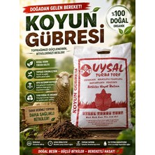 MSP Lt. Organik Koyun Gübresi, Çiçek, Bitki Yetiştirme Coşturmak Için Gübre
