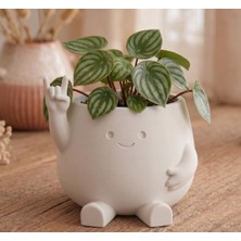 MSP Pot – Gülen Yüzlü Sukulent ve Kaktüs Saksısı – Sevimli Masaüstü Dekoratif Saksı – Modern Ev ve Ofis Hediyesi Rock Pot - Cute Smiley Face Planter
