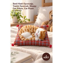Yenilig 3 Adet Yastıkta Uyuyan Kedi – Sesli Kedi Oyuncağı, Yastık Oyuncak, Sleepy Cat Pillow, Cat Plush