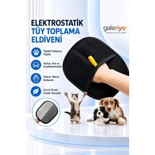 Galeriyo Elektrostatik Tüy Toplama Eldiveni Evcil Hayvan Koltuk Halı Tüy Temizleyici Eldiven Siyah