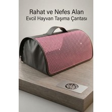 Petozi Nefes Alabilen Evcil Hayvan Taşıma Çantası