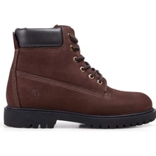 National Geographic Bot, 40, Kahve