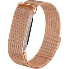 Mobaxaksesuar Google Fitbit Air Kordon Milano Loop Metal Band