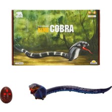 Küçük Hazine S00091568 -Sen-Yfn-Crz-I/c Yılan Kıng Cobra 3.7V.USB Işıklı 2r.