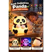 Grandor Renkli Işık Modlu Silikon Panda Gece Lambası Dokunmatik Kontrollü Sevimli Dekoratif